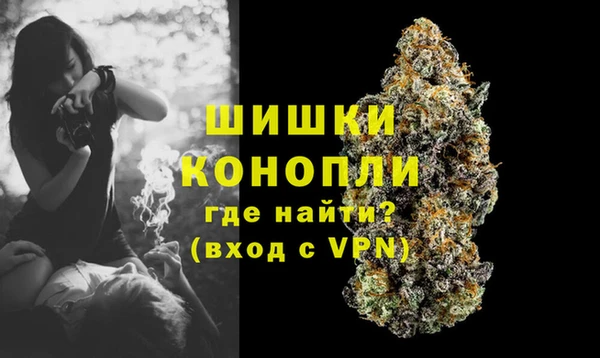 прущая мука Богданович